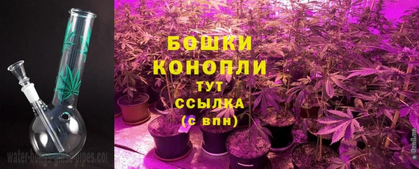 каннабис Аркадак