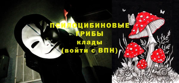 метадон Армянск