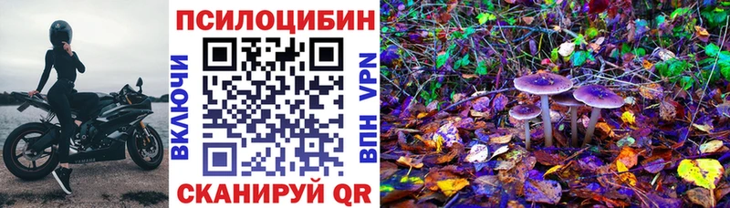 Галлюциногенные грибы прущие грибы  Нерюнгри 